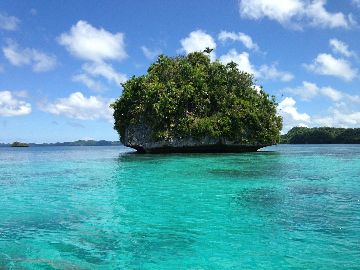 Palau Helicopters (Koror) - All You Need to Know BEFORE You Go