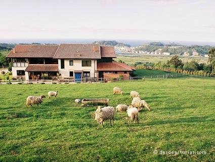 Imagen 2 de Hotel Rural Paraje del Asturcon