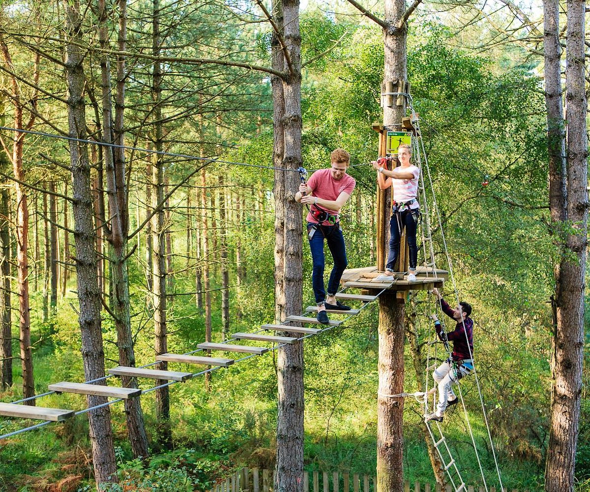 Go Ape Margam, Порт-Толбот: лучшие советы перед посещением - Tripadvisor