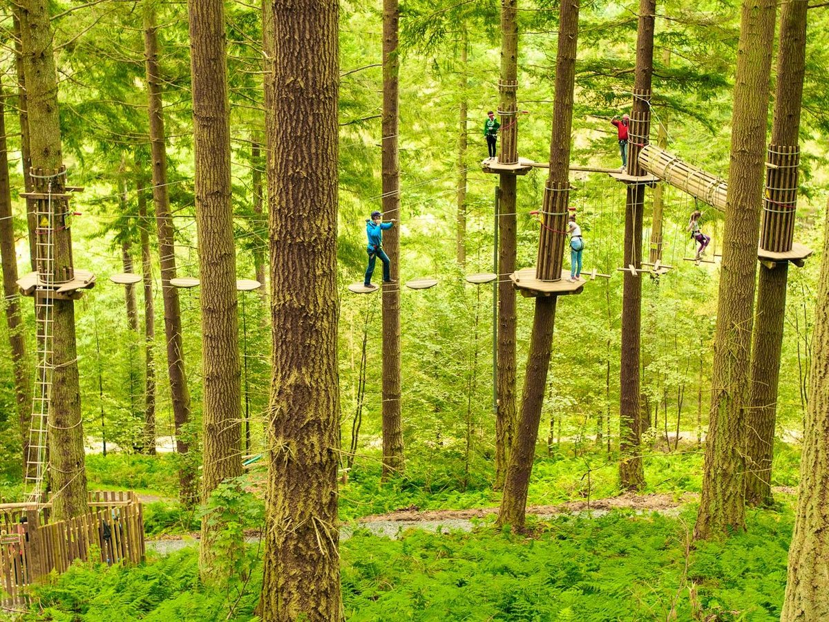 go-ape-aberfoyle-all-you-need-to-know-before-you-go