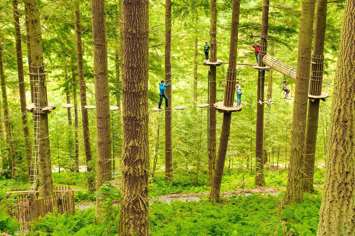 Go Ape Moors Valley Ringwood 2022 What To Know Before You Go