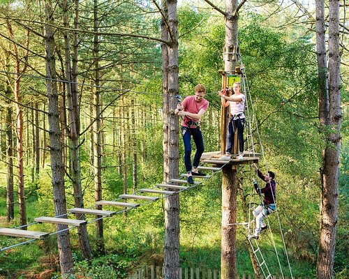 Best things to do in Thetford Forest and the Brecks