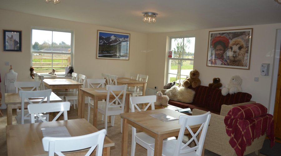 Cafe
