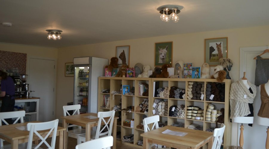 Shop and Cafe