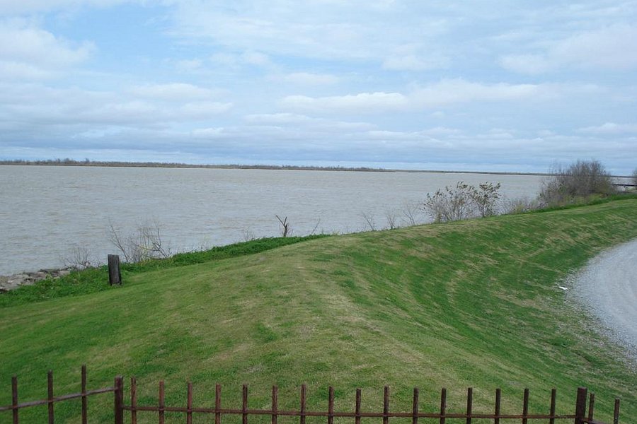 Fort Jackson image