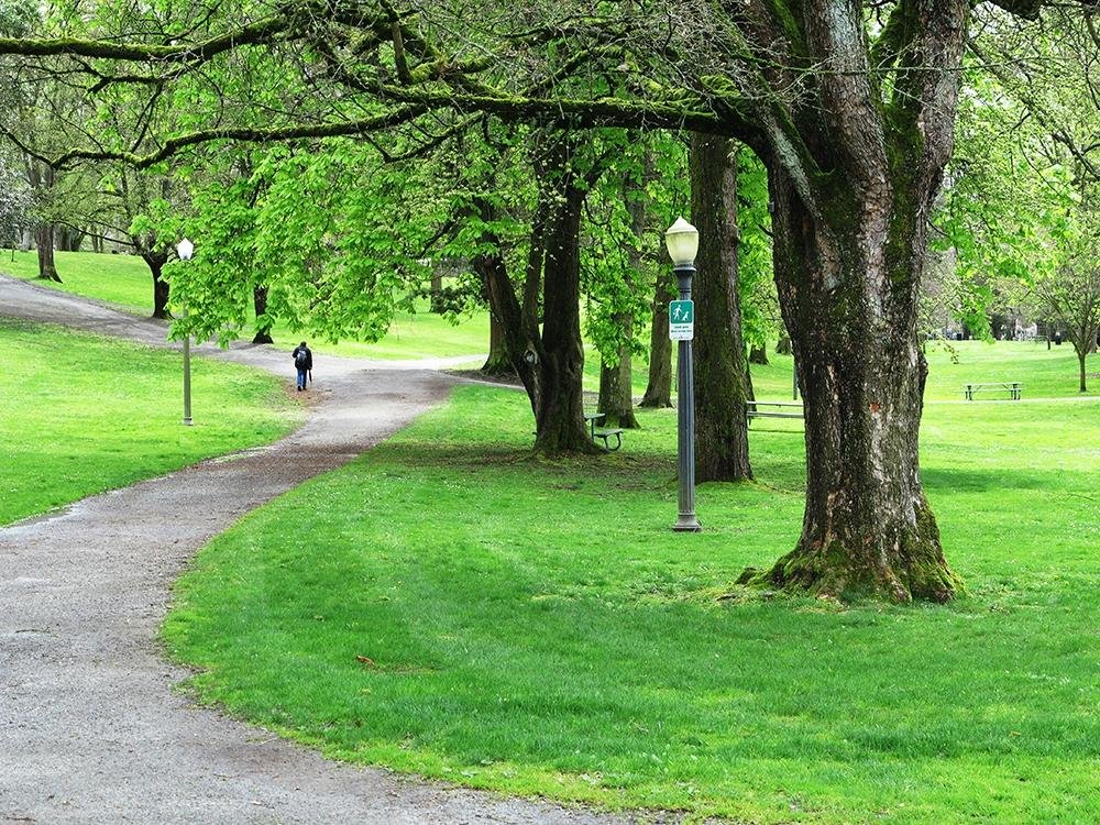 are dogs allowed in tacoma parks