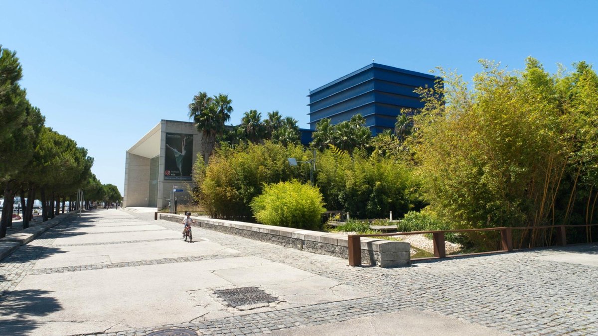 Pavilhão basquetebol - Picture of Clube Nacional de Natac-o, Lisbon -  Tripadvisor