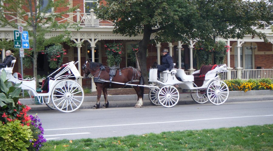 Horse and carriage outside the hotel