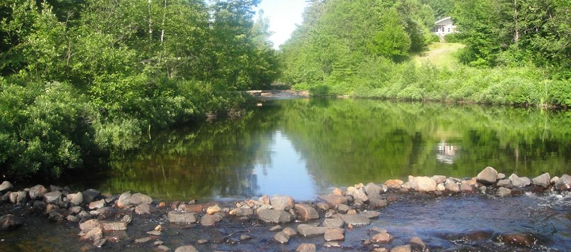 Nice river to swim