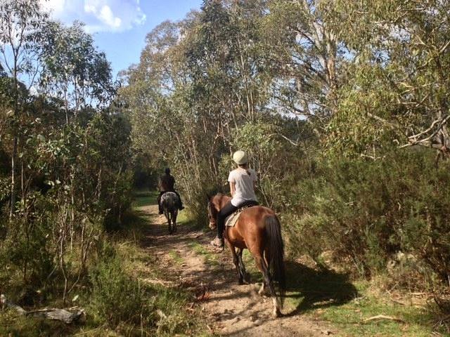 Horse Riding at Pender Lea image