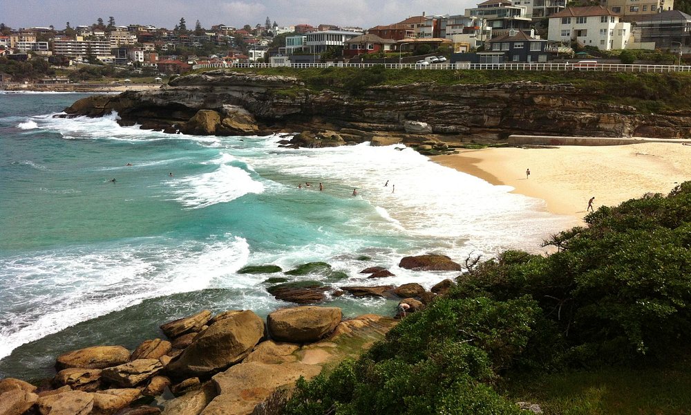 Bondi 21 Best Of Bondi Australia Tourism Tripadvisor