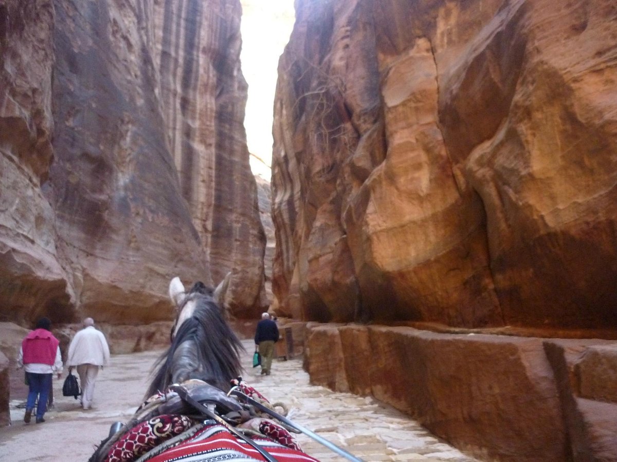 shore excursions to petra