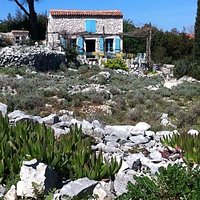 The garden and the shop
