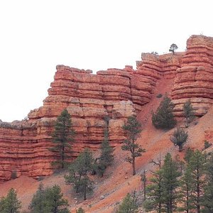 bryce canyon horse trips
