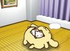 Puddinggow