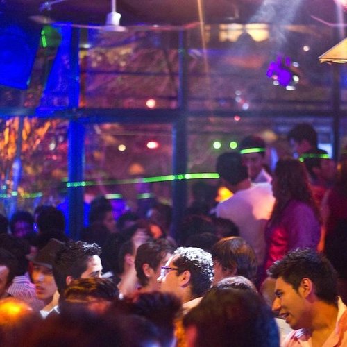 The 10 Best Bars & Clubs in Reforma / Zona Rosa, Mexico