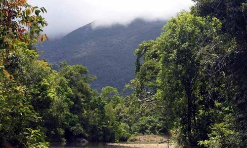 The clean river beside Sanctuary Garden