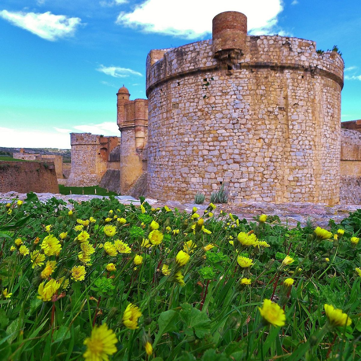 Forteresse de Salses, Salses-Le-Chateau