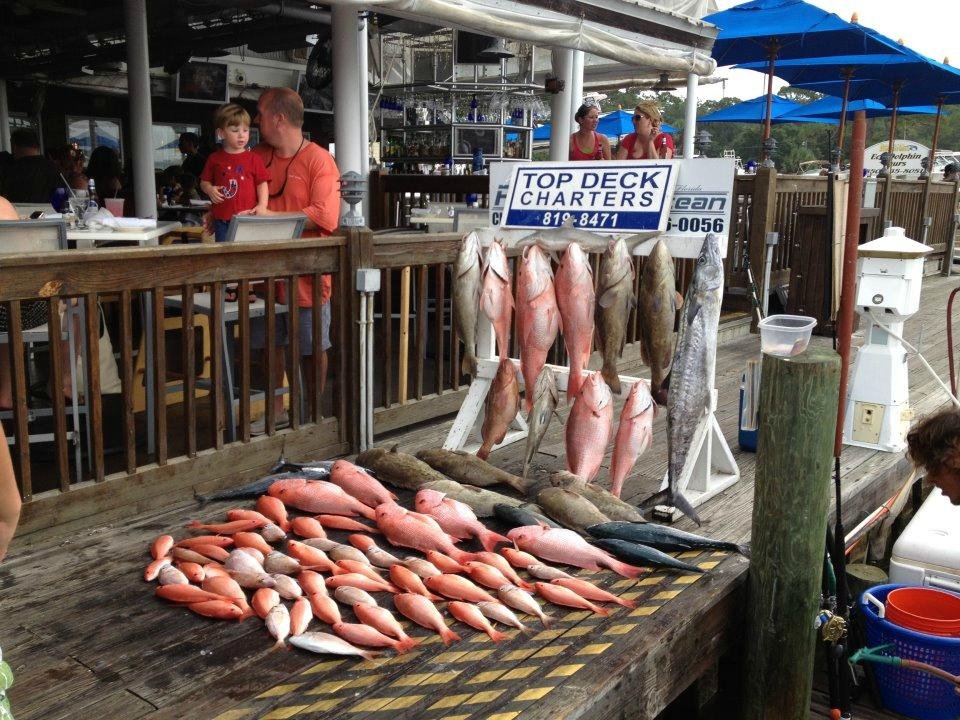 the-10-best-panama-city-beach-fishing-charters-tours