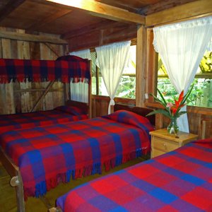 Habitación con cuatro camas simples, rodeadas por el jardin de orquideas