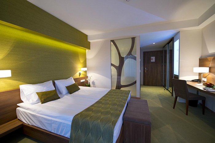 Imola Hotel Platan Rooms: Pictures & Reviews - Tripadvisor