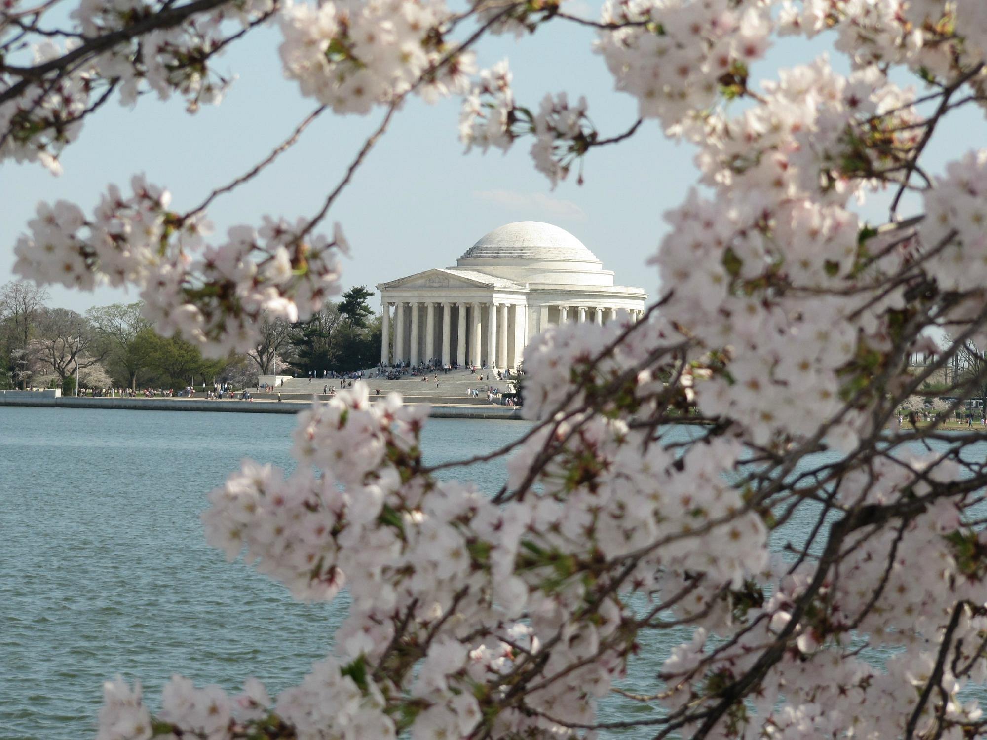 sightseeing tour dc