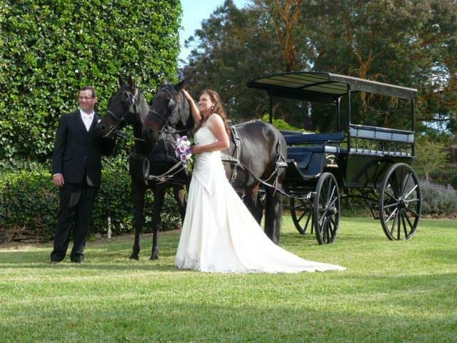 Las Vegas Horse Carriage  Weddings, Special Events & Photography