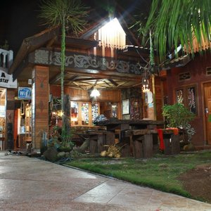Mini Tiga garden at night