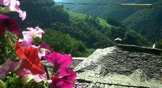 RISTORANTE IL CAMOSCIO BELLAVISTA MONTEVIASCO