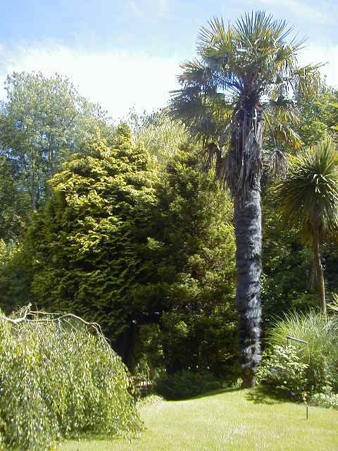 Hotel photo 49 of Foxhills of Shanklin.