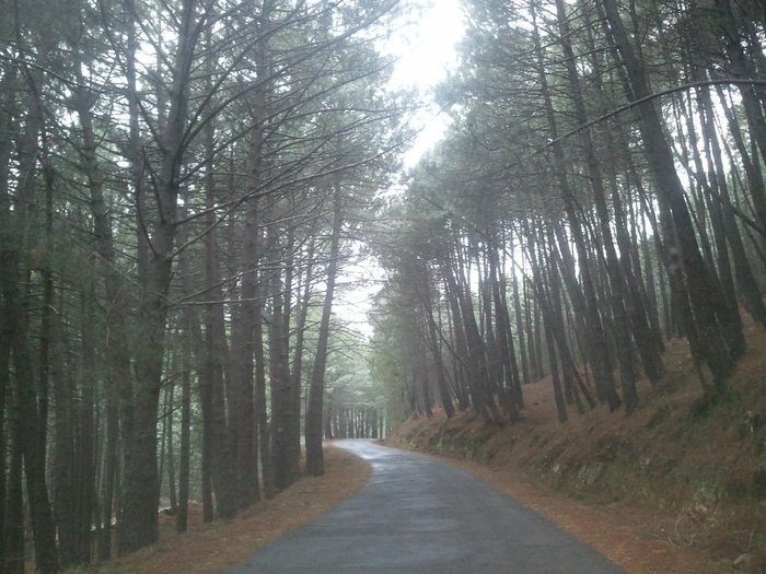 Imagen 23 de Fogon de Gredos