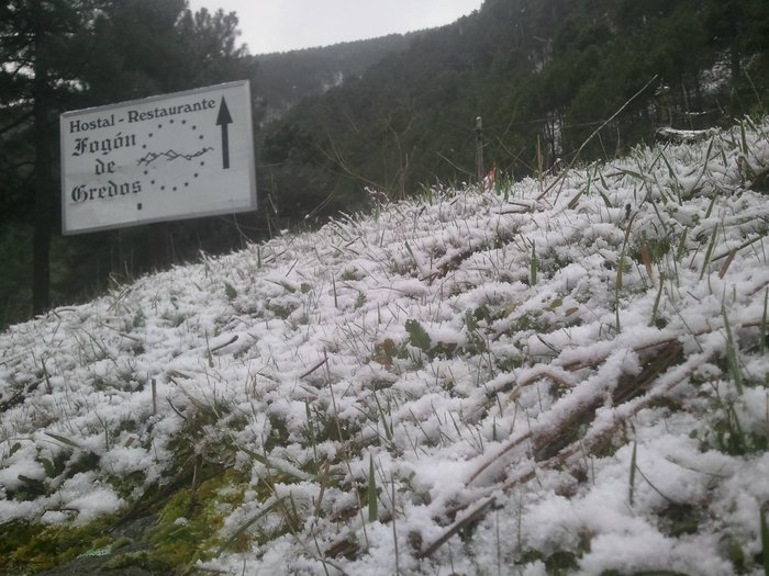 Imagen 22 de Fogon de Gredos