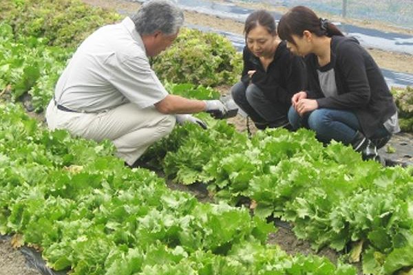 自家菜園“グリーンガーデン”