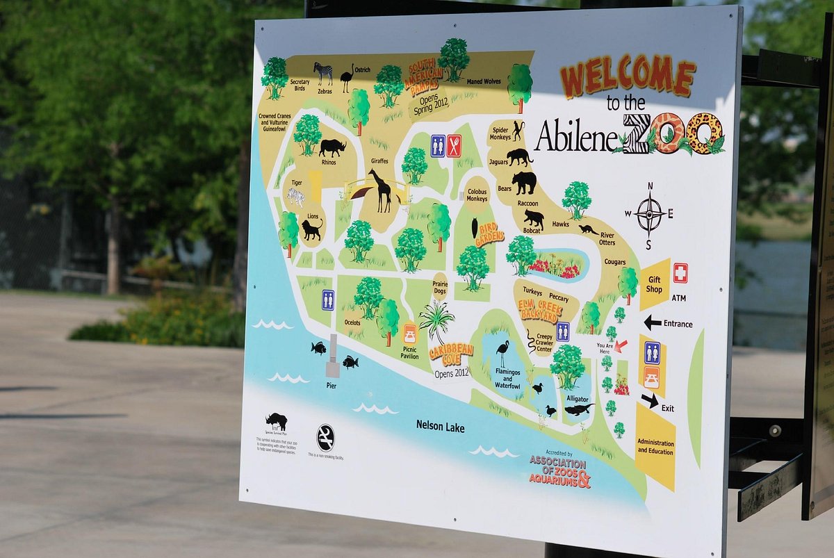 Abilene Zoo ATUALIZADO 2022 O que saber antes de ir Sobre o que as