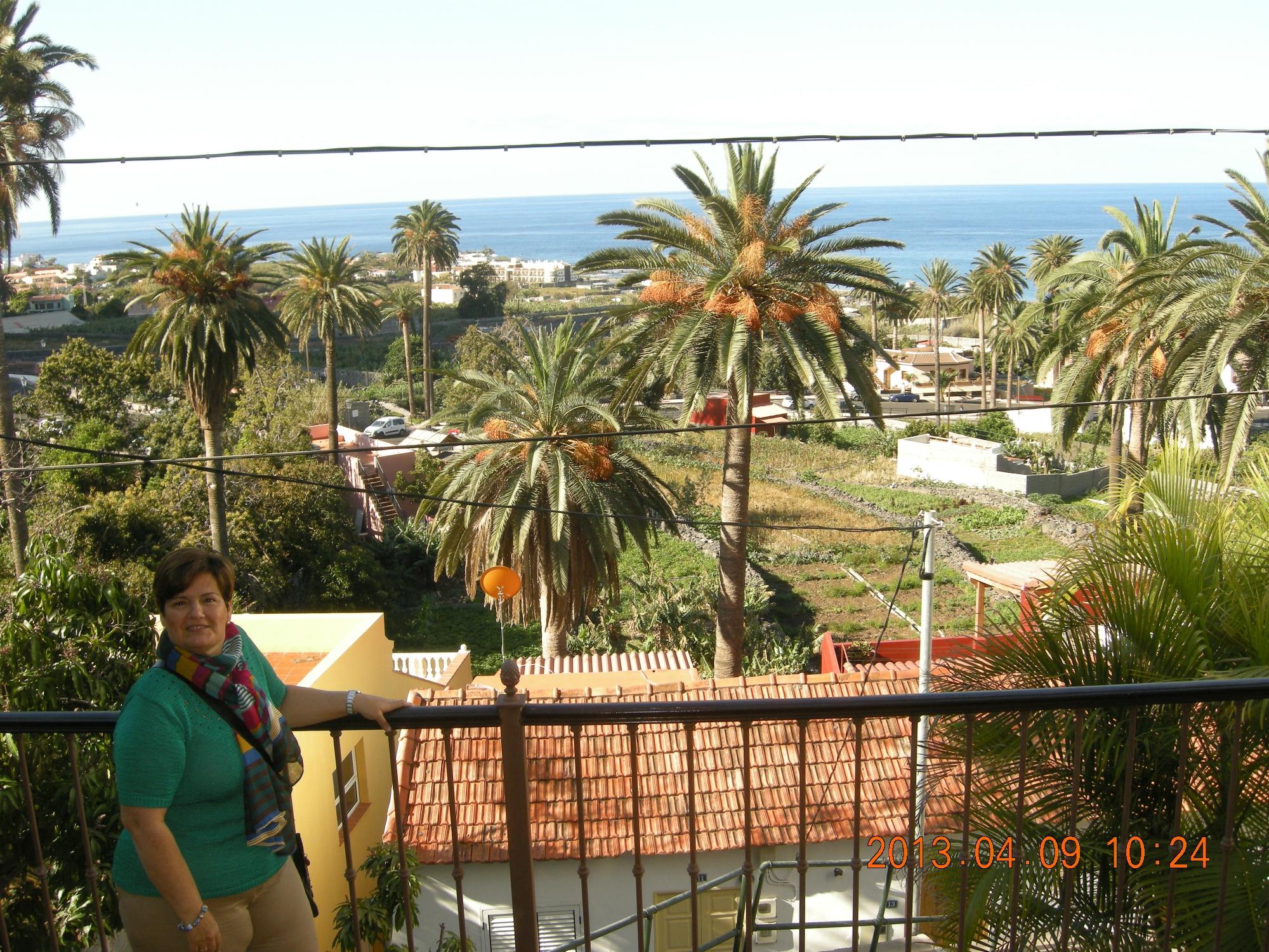 Hotel photo 15 of Hotel Jardin Concha.