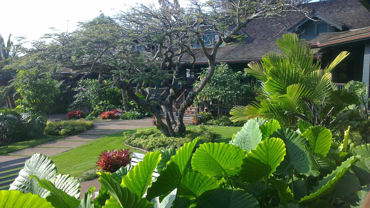 Lumeria Maui Educational Retreat Updated 2022 Prices And Cottage Reviews Hawaii