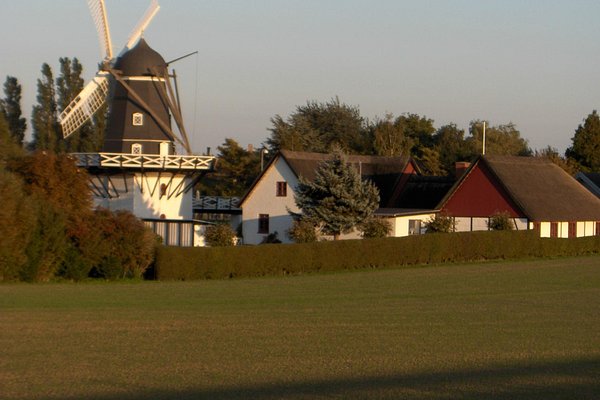 Windmill Buffalo Check Tea Towels - Danish Windmill