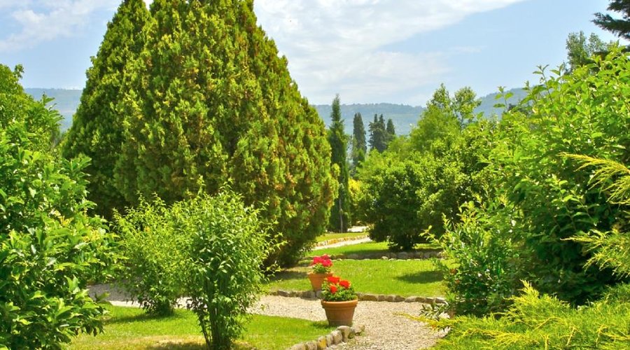 garden
