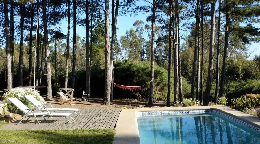 Vista de la piscina y bosque