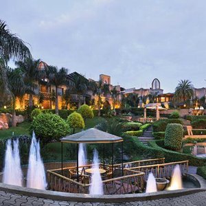 Panoramic Garden Shot