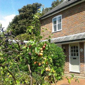 1 Garden Cottages, 59 South Street, Lewes BN7 2BU
