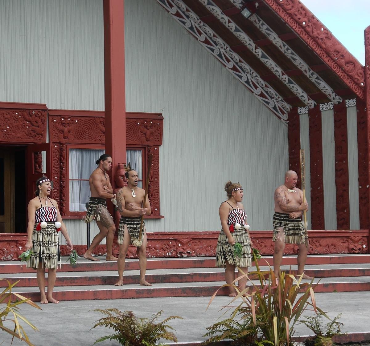 Tauranga Ck Tours For Seniors 2025
