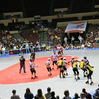 Roller Warriors