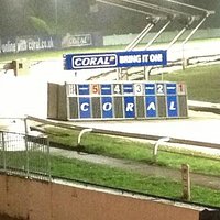 Night at the dogs .