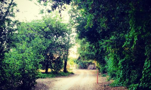 Trail Behind Hotel