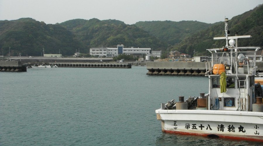 hotel view from the small port