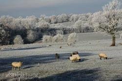 Winter view