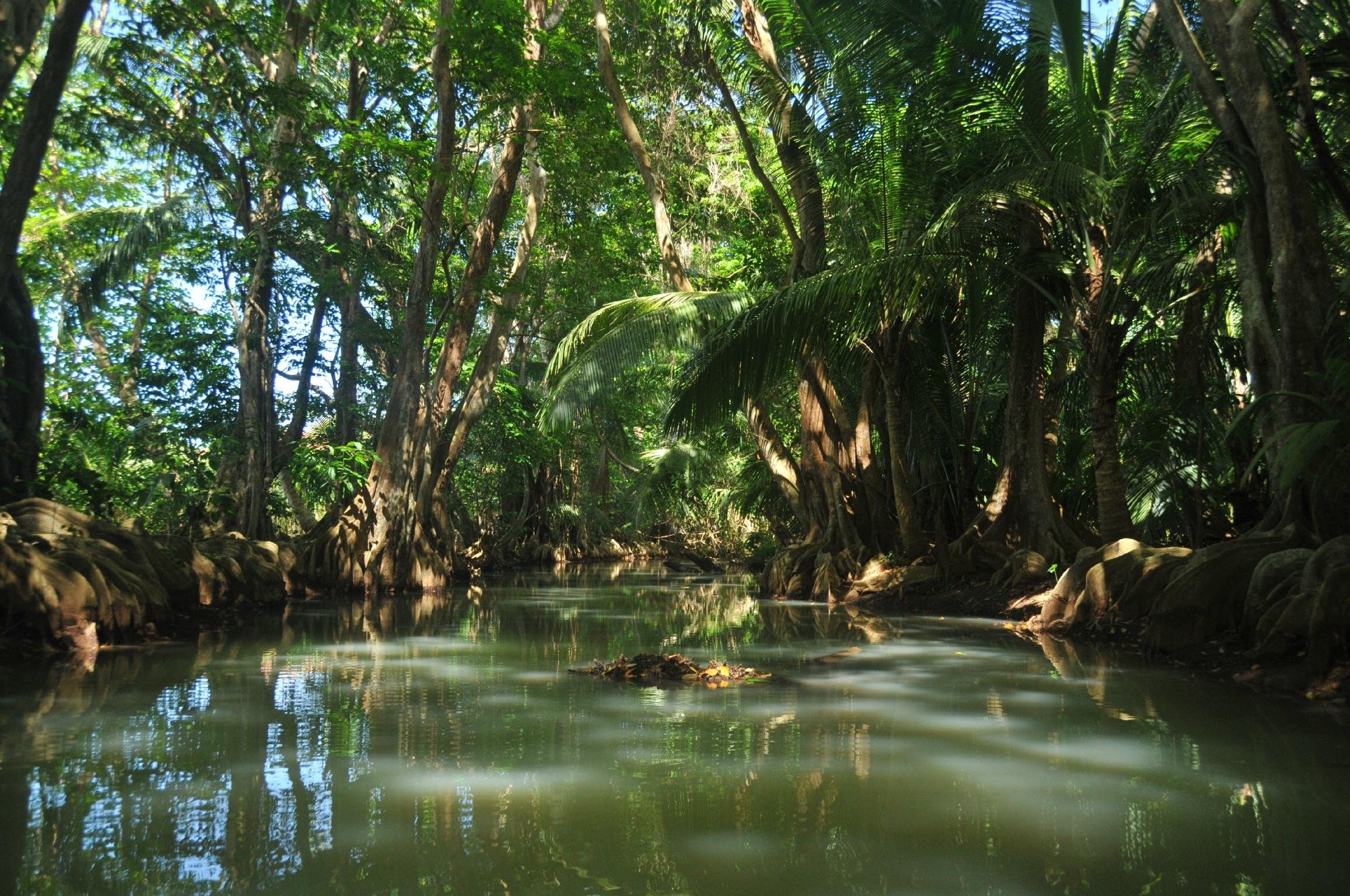 Mangrove Bay Tours - All You Need to Know BEFORE You Go (2024)