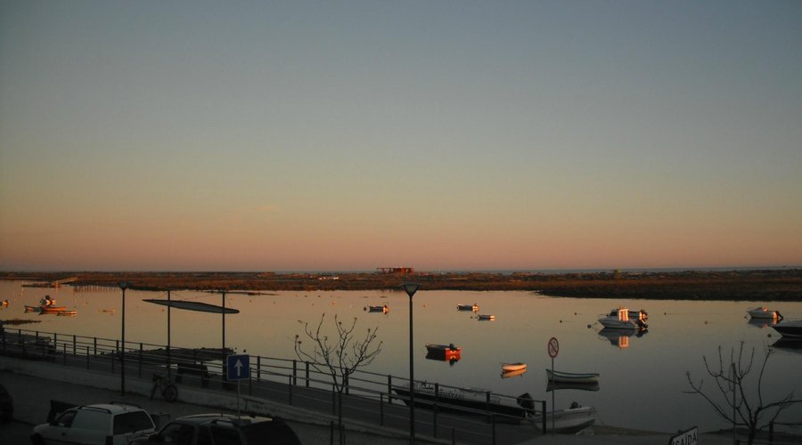 View from the Terrace