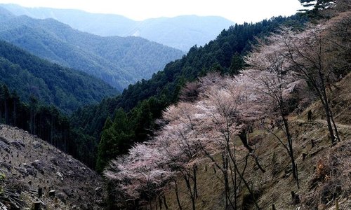 Okusenbon - not worth the hike